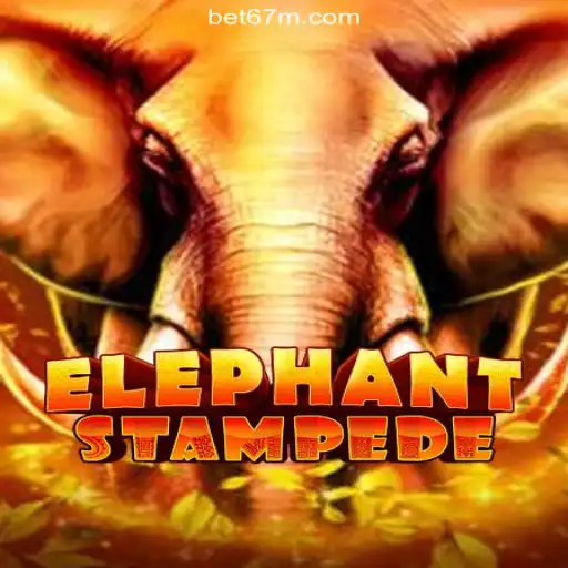 ElephantStampede: The Thrilling Adventure Game Sweeping Brazil